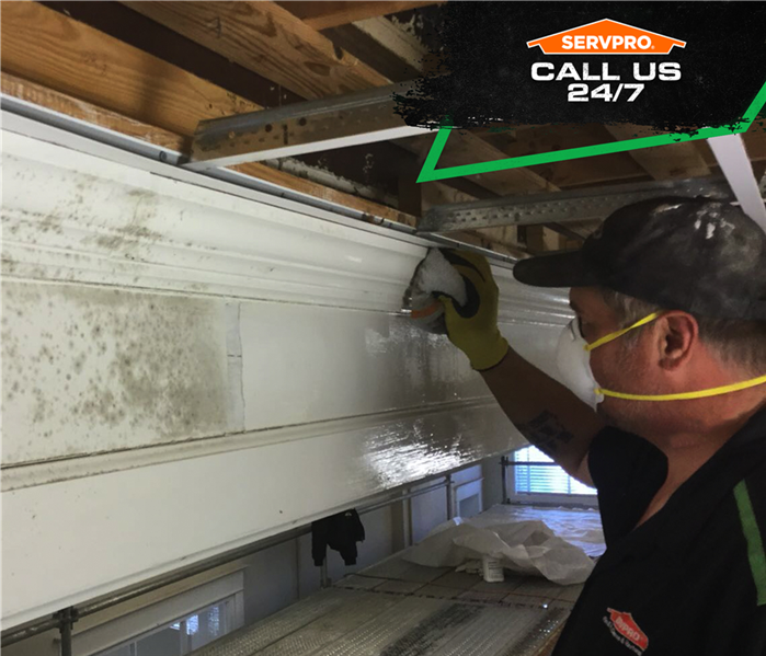 tech scraping mold off surface in basement